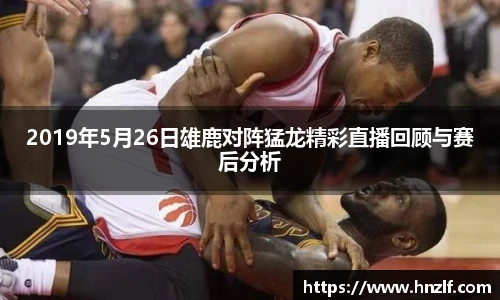 vsport体育官网版