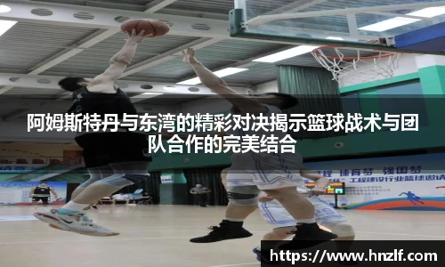 vsport体育官网版