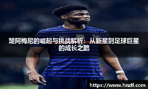 vsport体育官网版