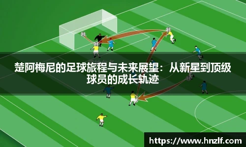 vsport体育手机网页版登录