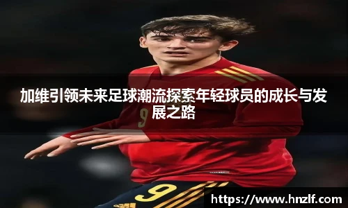 vsport体育手机网页版登录