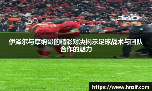 vsport体育官网入口